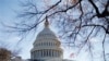 Сенатори США затвердили військову допомогу Україні у розмірі 300 мільйонів доларів 