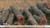 Les effets de la crise économique sur l’environnement au Zimbabwe