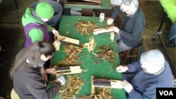 The inner bark of paper mulberry trees, native to Korea, is used to make Hanji. Here, branches are being stripped. (Photo courtesy Aimee Lee)