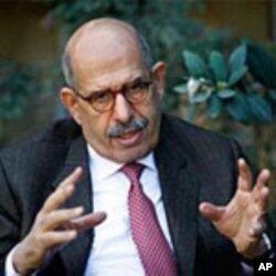 Key Players in Egypt's Crisis