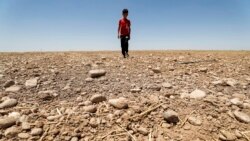 Tampak seorang anak laki laki berjalan di lahan pertanian yang kering di area Saadiya, di sebelah utara Diyala, wilayah timur Irak pada 24 Juni 2021. Kekeringan yang melanda area tersebut merupakan contoh dari dampak perbuhan iklim yang sudah terjadi. (Foto: AFP)