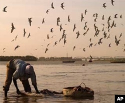 Fisherman on the White Nile (Morada). Khartoum, Sudan.