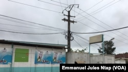 La direction de la société de fabrication de produits laitiers Camlait à Yaoundé, le 6 octobre 2019. (VOA/Emmanuel Jules Ntap)