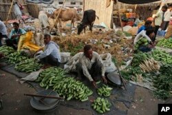 Vegetable vendors set up their cucumber stalls at a wholesale market in Lucknow, in the central Indian state of Uttar Pradesh, May 6, 2017.