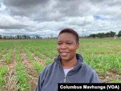 Esnath Hamadziripi, a researcher at International Maize and Wheat Improvement Center in Mazowe on Dec. 10, 2018, says in Zimbabwe, three-in-five seasons are expected to be bad for farmers and El Nino is making that worse.