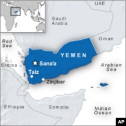 Yemen's Interim Leadership Rules out Transition Deal for Now