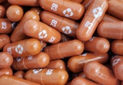 FILE - An experimental COVID-19 treatment pill called molnupiravir, being developed by Merck & Co Inc and Ridgeback Biotherapeutics LP, is seen in this undated handout photo released by Merck & Co Inc and obtained by Reuters, May 17, 2021.