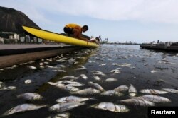 FILE - Dead fish are pictured next to a rowing athlete as he puts his boat on the water before a training session at the Rodrigo de Freitas lagoon, in Rio de Janeiro, Brazil, April 13, 2015.