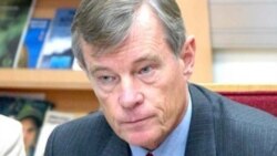 Steynar Gil