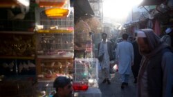 File - Afghans walk through a market in Kabul, Afghanistan. With Afghan assets frozen in the U.S. and the world reluctant to recognize the Taliban, the country's banking system has come to a halt, Oct. 12, 2021.