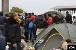 Banyak pengungsi dan migran lainnya dari Timur Tengah dan Afrika, seperti orang-orang ini di Opatovac, Kroasia, melarikan diri dari kelompok-kelompok ekstrimis dan mencari apa yang mereka sebut sebagai "kehidupan normal." (Foto: Heather Murdock/VOA)