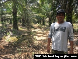 Smallholder farmer Isnin Kasno on his palm oil plantation near Johor, Malaysia, March 22, 2018.
