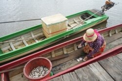 On a typical day, fishers in Bak Prea village dock their boats to sell some fish in front of fish dealer Pheav Soriya’s house. Fishers that VOA Khmer talks to say their catch is in decline, in Battambang province, on September 26, 2021. (Khan Sokummono/VOA Khmer)