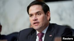 Senator Marco Rubio questions witnesses before the Senate Intelligence Committee hearing about "worldwide threats" on Capitol Hill in Washington, Jan. 29, 2019.