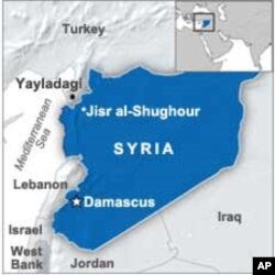 UN Rights Commissioner Calls for Syria Probe