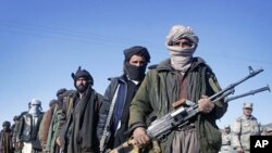 Former Taliban militants hold their weapons during a joining ceremony with the Afghan government in Herat, west of Kabul, January 30, 2012.