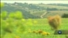Американська конгресвумен допоможе українським селянкам. Відео