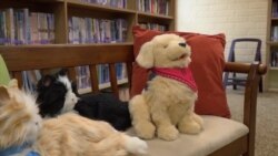 Des animaux de compagnie pour lutter contre l'anxiété