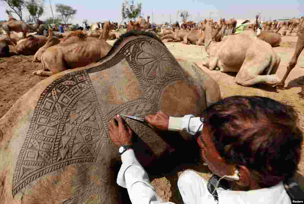 A man uses a scissors to make intricate decorative patterns on a camel's back before displaying it for sale at a makeshift cattle market ahead of the Eid al-Adha festival in Karachi, Pakistan.