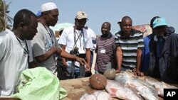 Senegalese fishermen talk with environmental groups about the changes they've seen in fishing stocks