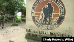 Le parc des Virunga Nord-Kivu, RDC, 11 mai 2018. (VOA/Charly Kasereka)