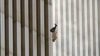Keluarga 'The Falling Man' Kenang 10 Tahun 9/11