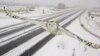 Trending Today: A Dramatic Owl Fly-By, a Sad Raccoon