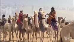 La cure salée célèbre les éleveurs du Niger (vidéo)