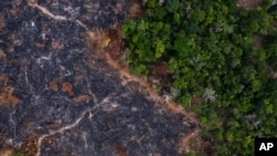 In this Nov. 23, 2019 photo, a burned area of the Amazon rainforest is seen in Prainha, Para state, Brazil. 