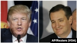 Kandidat Capres partai Republik, Donald Trump (kiri) diperkirakan bersaing ketat dengan Senator Ted Cruz dalam pemilihan di negara bagian Wisconsin (foto: dok).