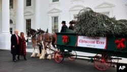 FILE - President Donald Trump and first lady Melania Trump receive last year's White House Christmas Tree, at the North Portico of the White House, in Washington, Nov. 19, 2018. 